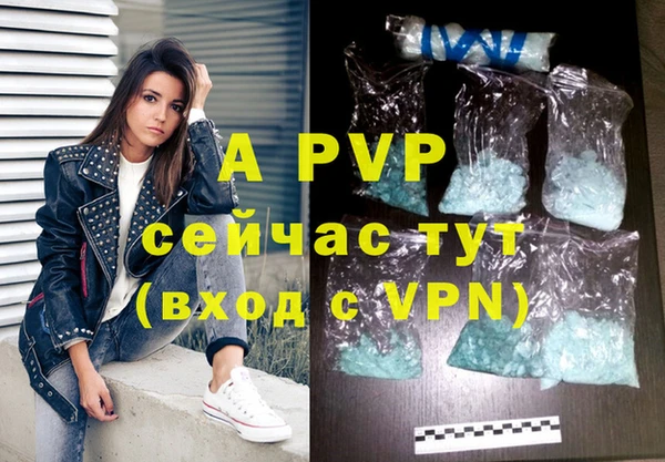 шишки Ивангород
