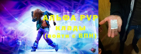 стафф Алзамай