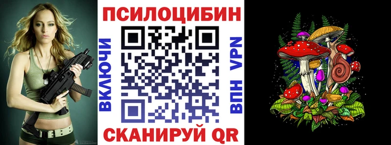 Псилоцибиновые грибы Psilocybe  наркота  Кологрив 